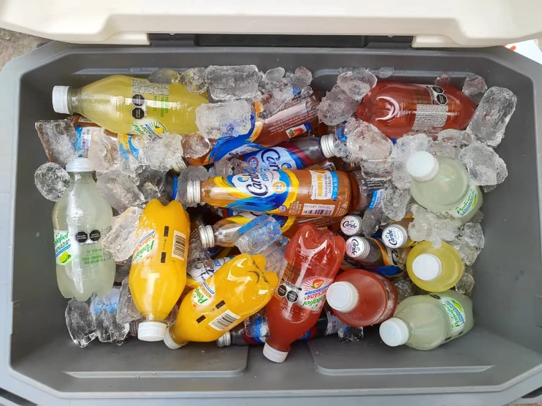 Viaje redondo con snacks, bebidas y souvenirs